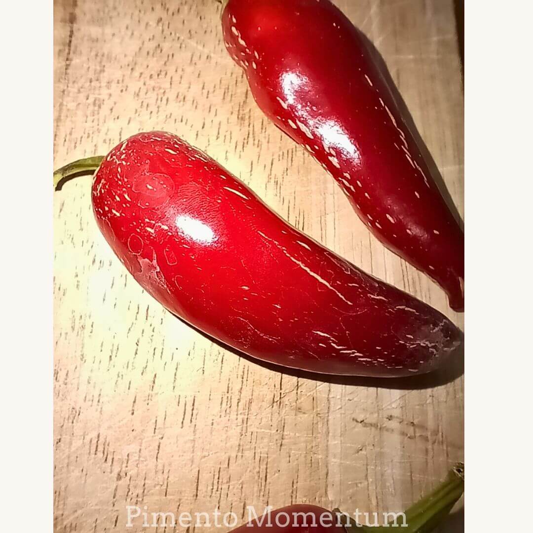 Piment jalapeno sur une planche à découper en bois, couleur rouge