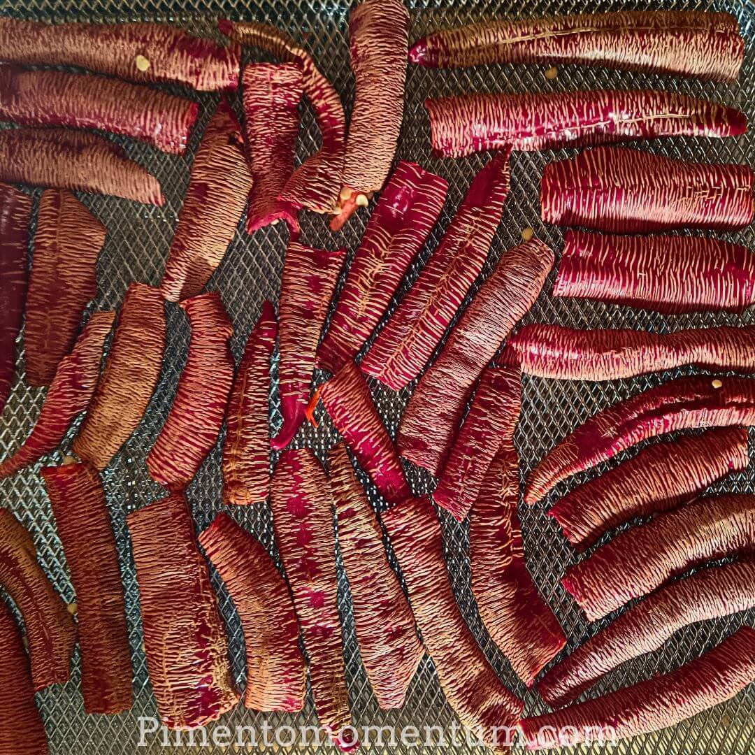 Graines de Paprika Vezena Bio