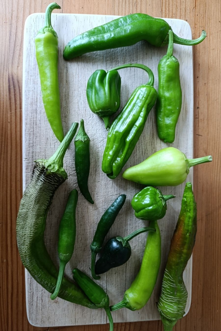 les piments verts sont vraiment différents des piments matûres de par leur couleur et leurs goûts uniques 