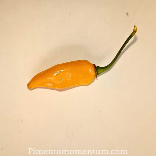 piment végétarien jaune, hot banana, piment doux