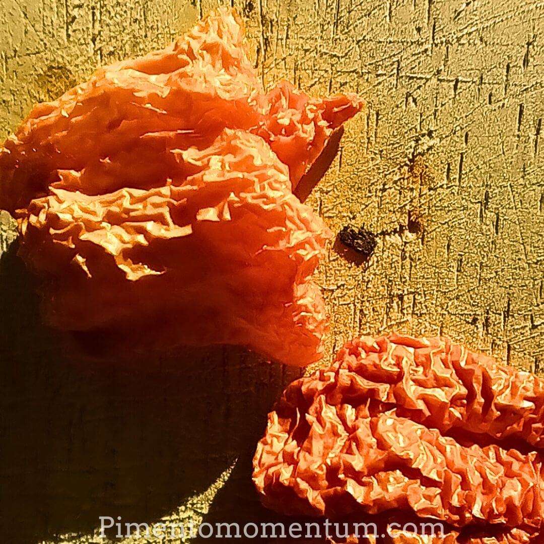 7 Pot Peach Brain séchés sur fil - Texture cerveau caractéristique pêche pastel