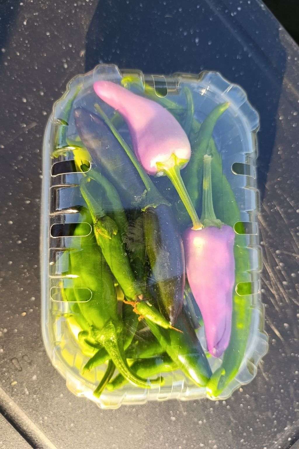 Box découverte de piments verts frais bio avec plusieurs variétés dans une barquette.