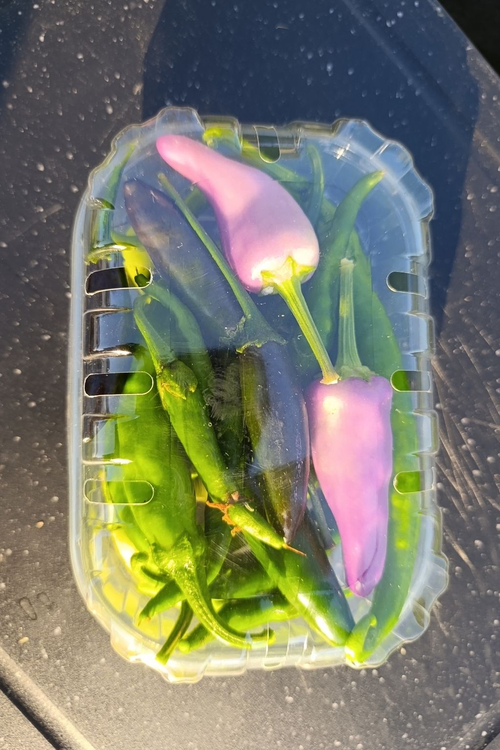 Box découverte de piments verts frais bio avec plusieurs variétés dans une barquette.