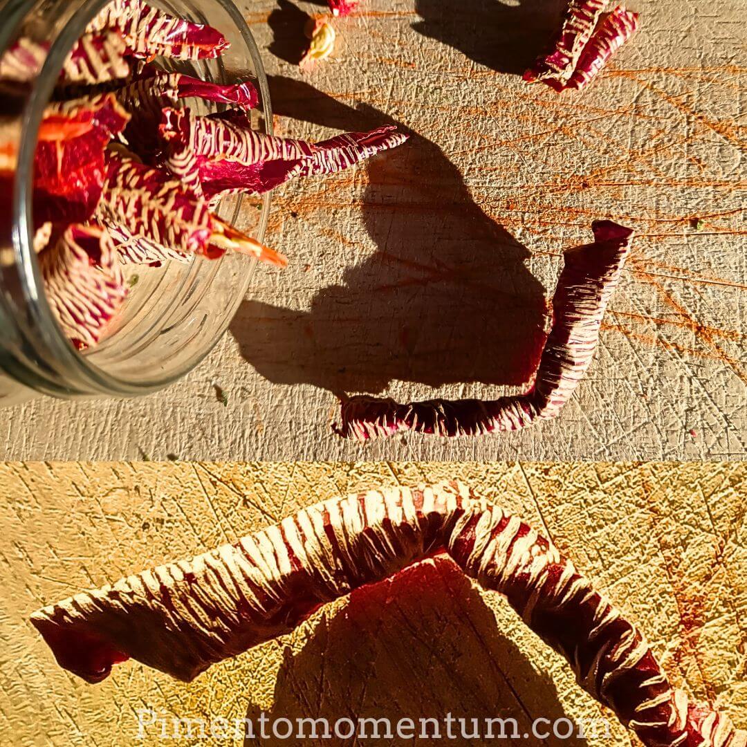 Graines de Paprika Vezena Bio