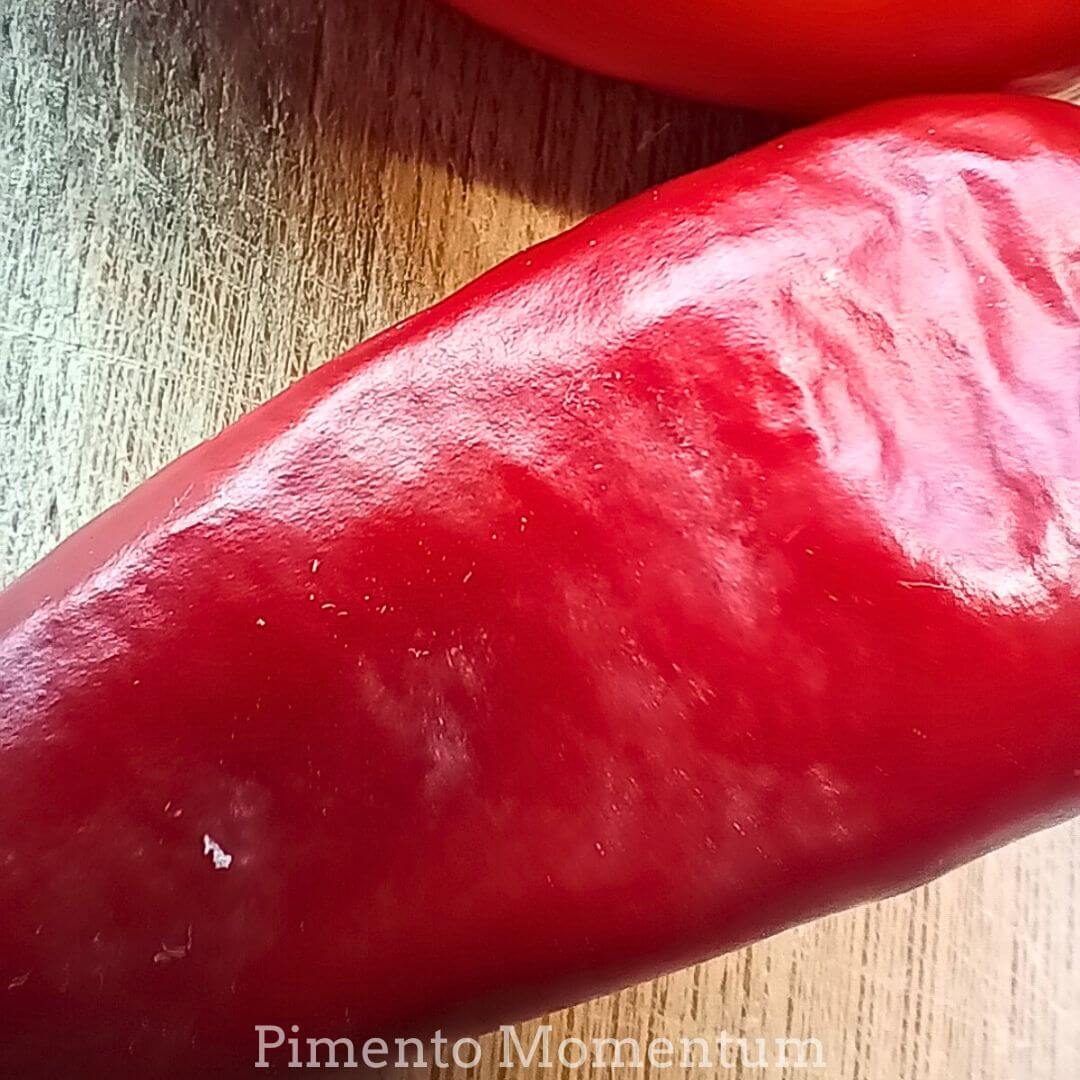 gros plan sur un piment rouge frais, anaheil du nouveau Mexique, culture bio française