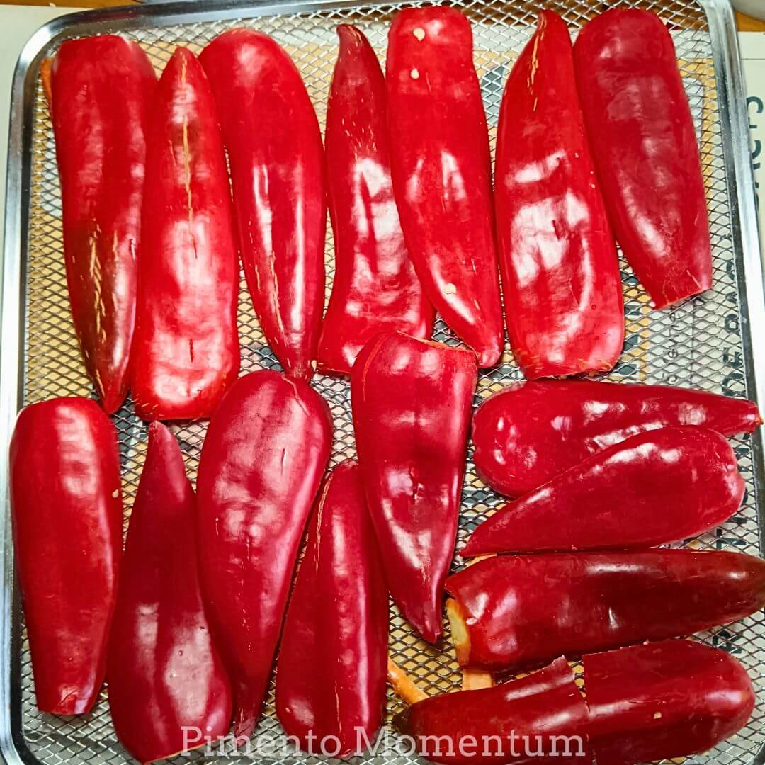 piment anaheim rouge frais sur plaque pour sechage lent à basse temperature, cultivé en lot et garonne