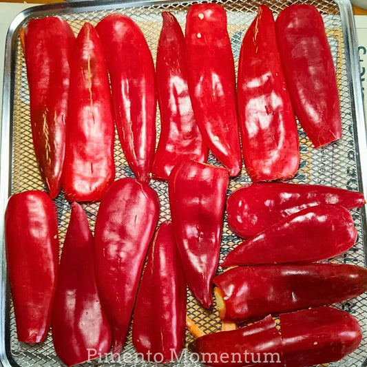piment anaheim rouge frais sur plaque pour sechage lent à basse temperature, cultivé en lot et garonne