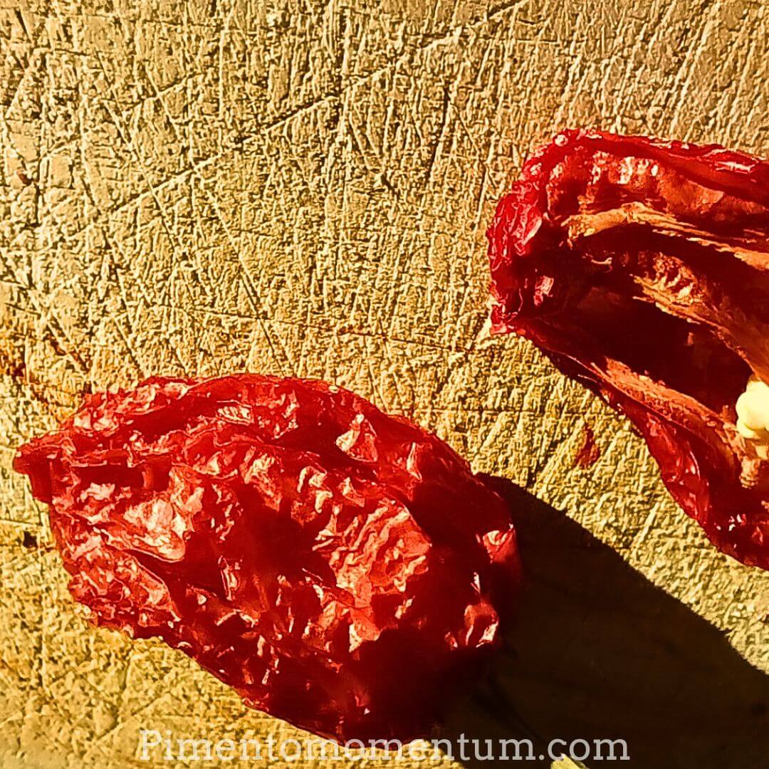 Piment Antillais Bondamanjak séché gros plan texture - Ultra-fort bio Pimento Momentum