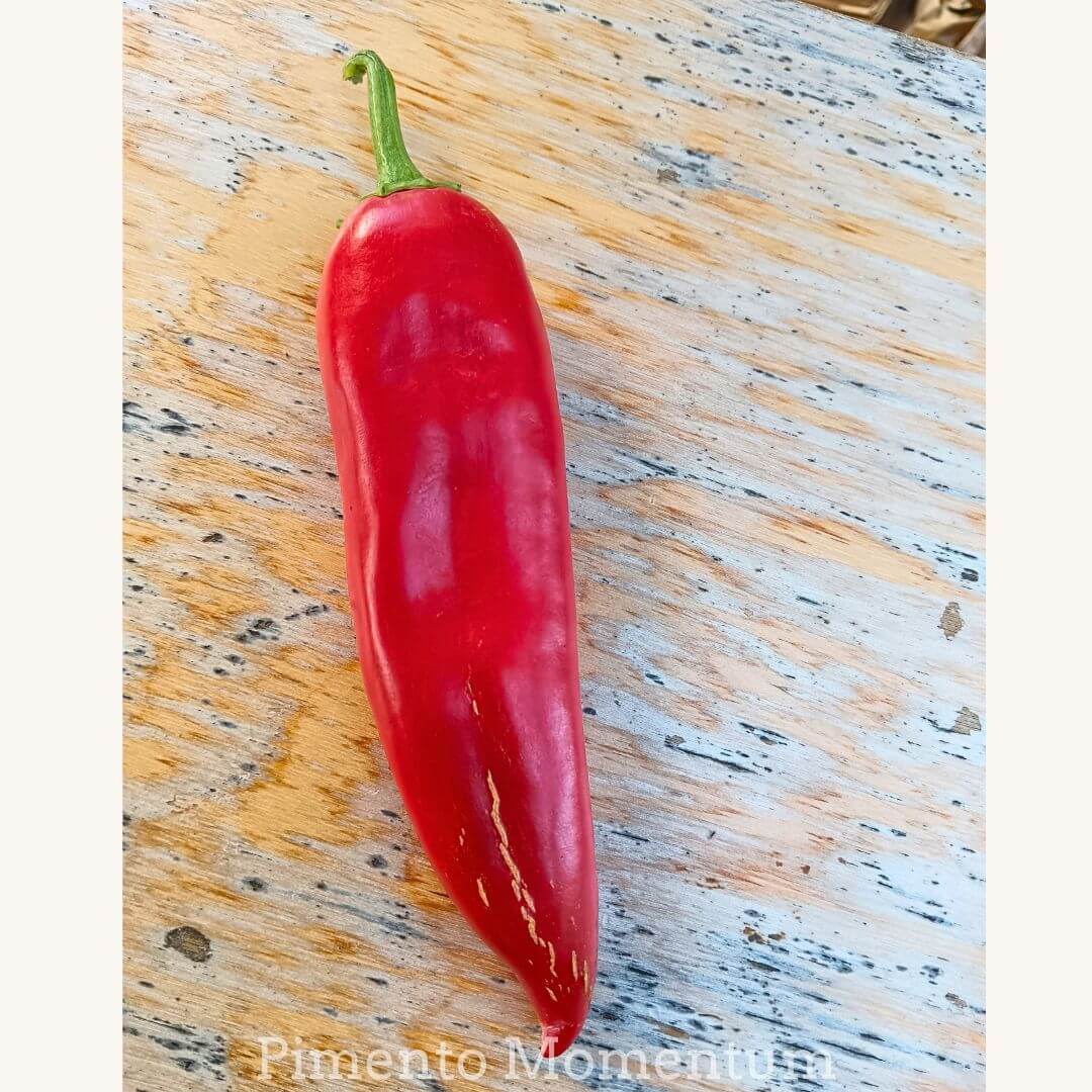piment abaheim frais sur une planche de bois clair, photo lunimeuse qui fait ressortir le rouge du piment