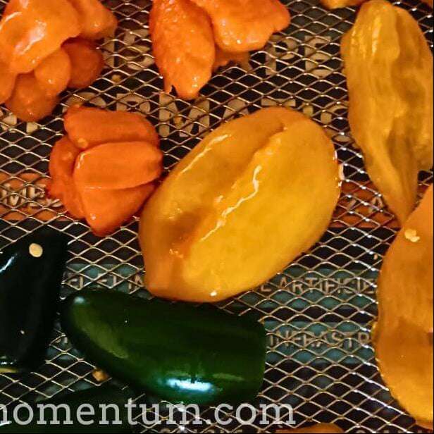 piment habanero jaune - séchage sur grille de désidrateur- artisanale - agrculture bioloique- pimento momentum