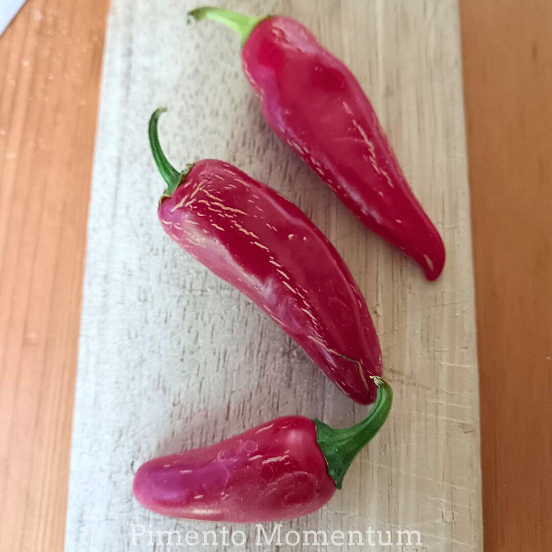 trois piments jalapenos disposés sur une planche à découper en bois, belle couleur rouge foncée culture du sud ouest