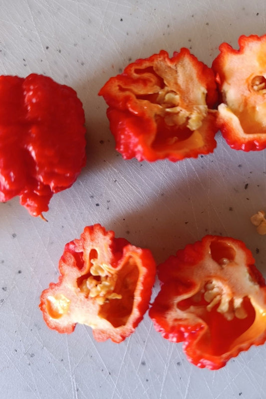Frische Bio-Chili La Fournaise - 70g
