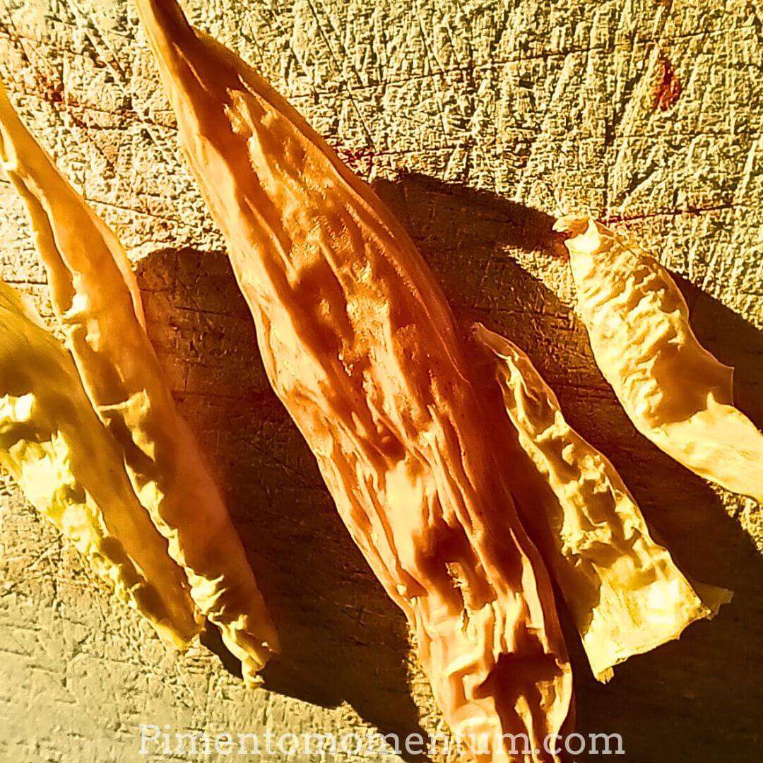 Piments Lemon Drop séchés artisanalement couleur jaune orangé, texture ridée naturelle, séchage lent bio Pimento Momentum
