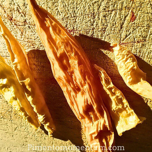 Piments Lemon Drop séchés artisanalement couleur jaune orangé, texture ridée naturelle, séchage lent bio Pimento Momentum