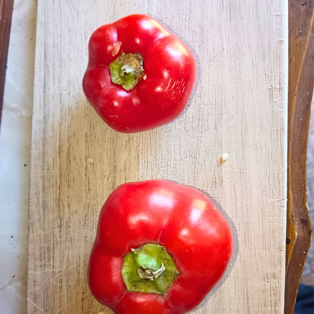 Piment paprika Alma frais sur une planche de bois, piment rond de 4 à 8 cm de diamètre rouge éclatant.