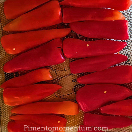 Piment Paprika Szentesi doux hongrois séché - Sans piquant - France
