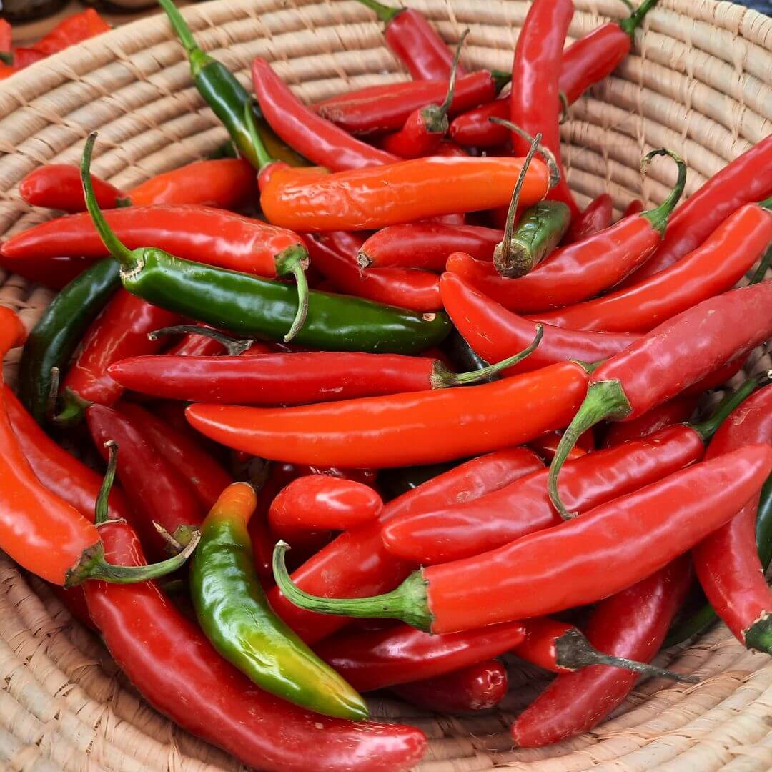 piments serrano rouges frais - dans un panier en vannerie artisanale