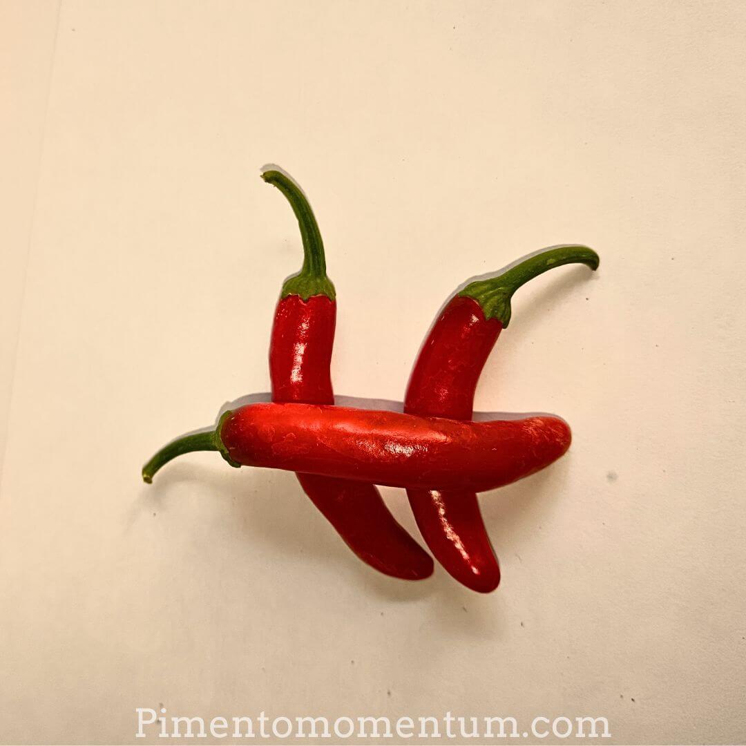 Graines Red Chili Small Bio - Piment Oiseau Petit Rouge - 15 graines