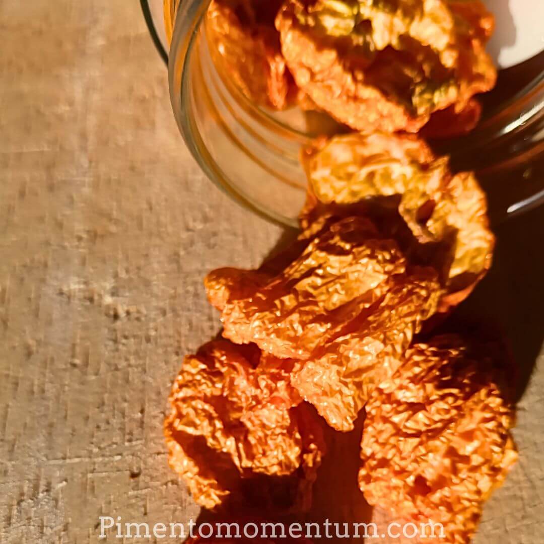 7 Pot Peach Brain séchés dans bol en bois - Piments ultra-rares bio Pimento Momentum