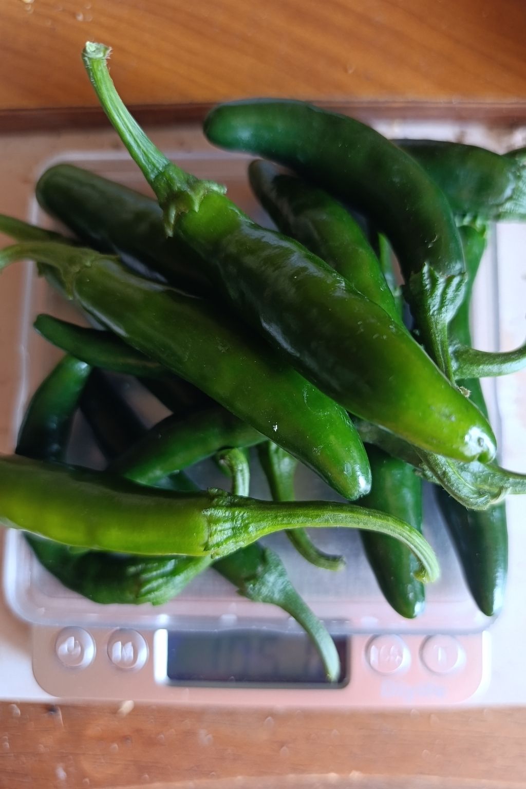 préparation de la barquette de piments serrano verts frais, pesée avant emballage