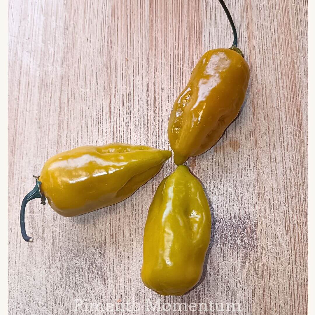 trio de piments big mustard mama disposé joliment sur une planche bois clair
